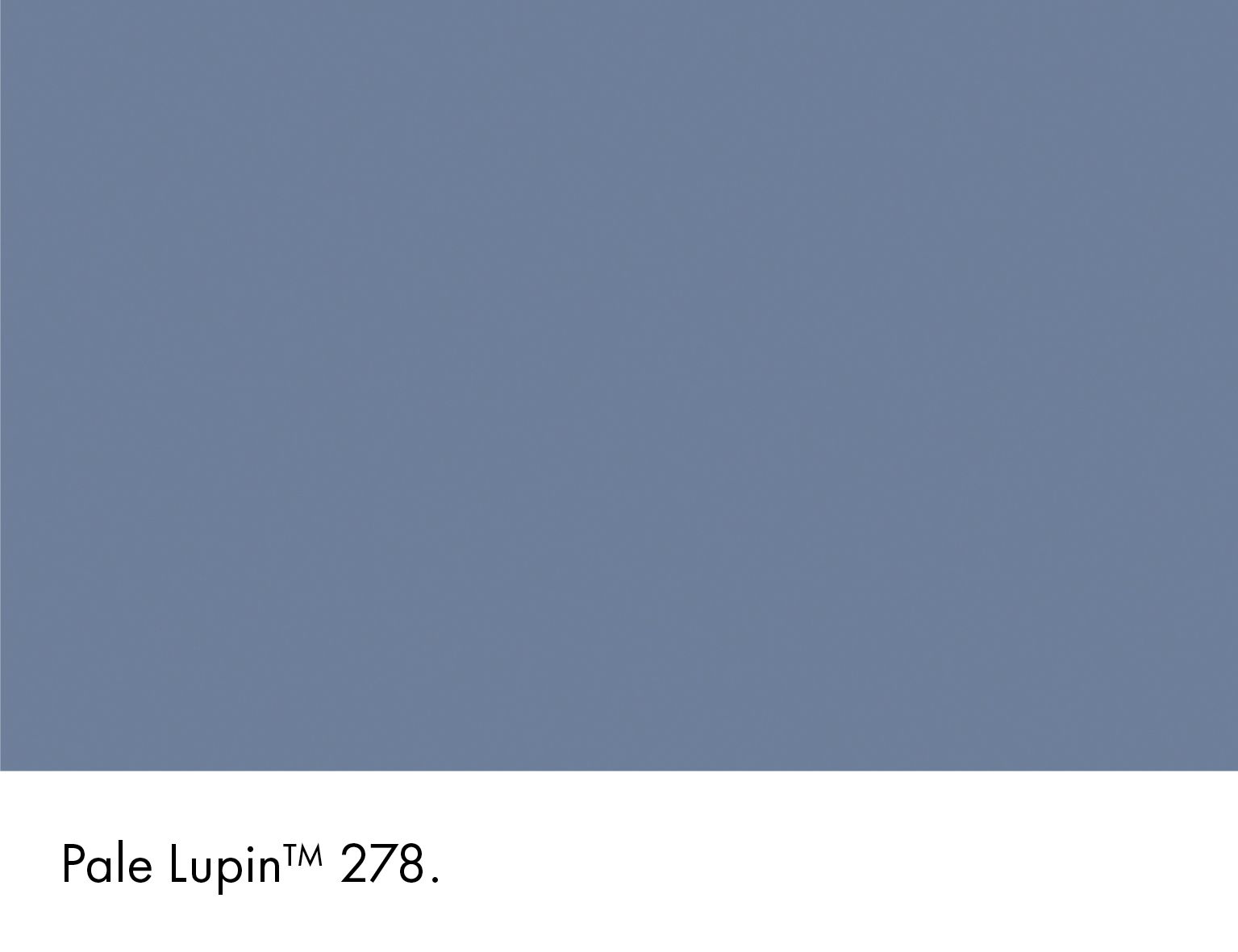 Pale Lupin